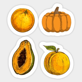 Pack of Fruits Stickers - Pumpkin, Orange, Papaya And Peach Sticker